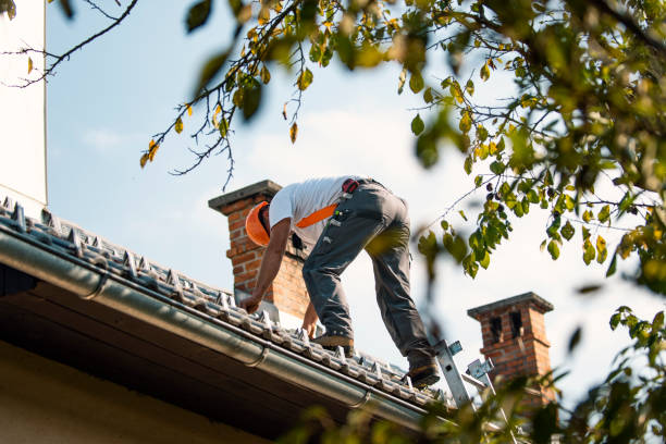 Roof Gutter Cleaning in Maple Heights Lake Desire, WA